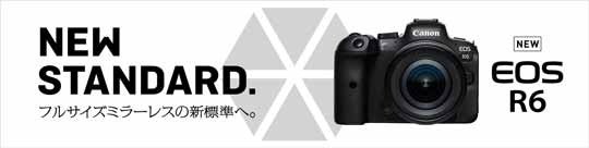 EOS R6